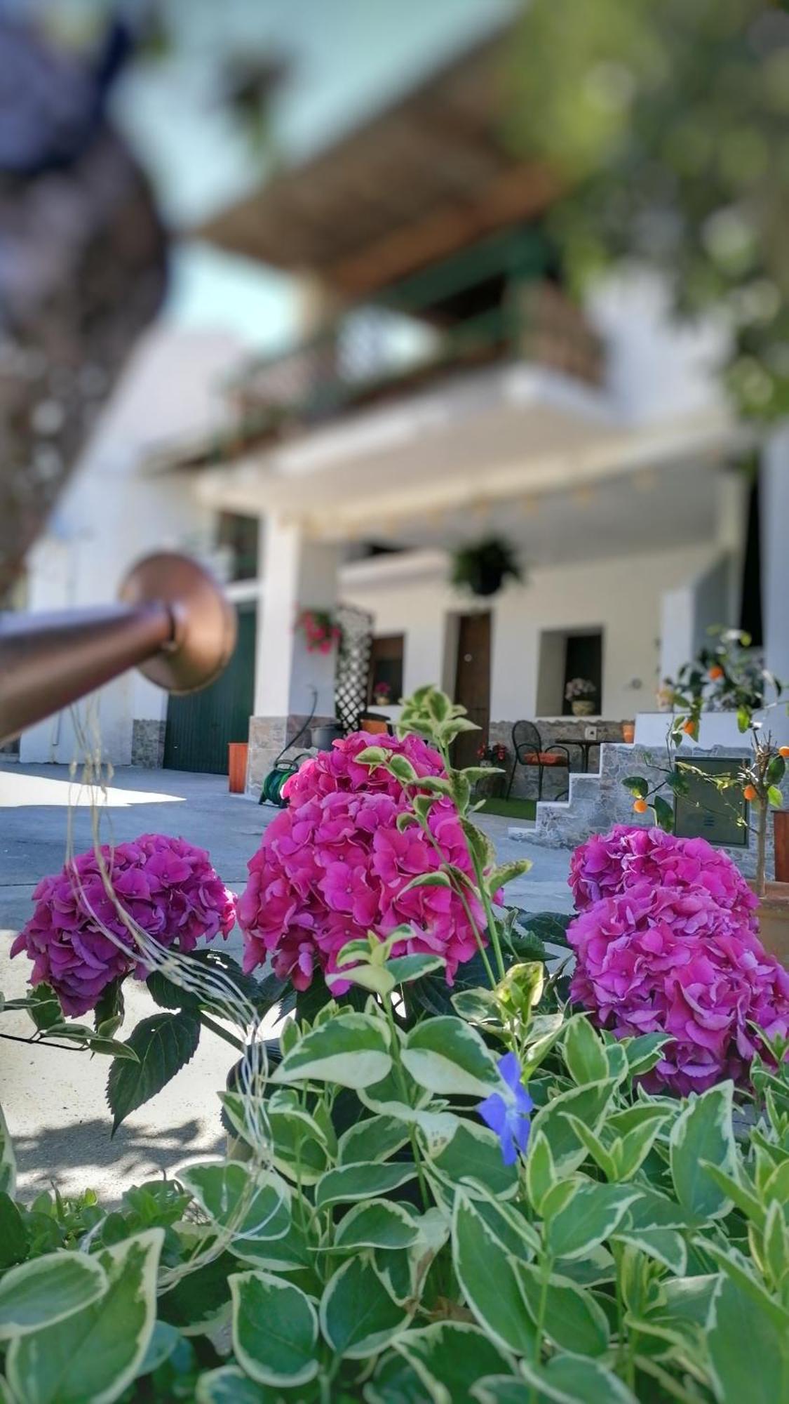 La Casa De La Abuela Apartment Pinos Genil Bagian luar foto