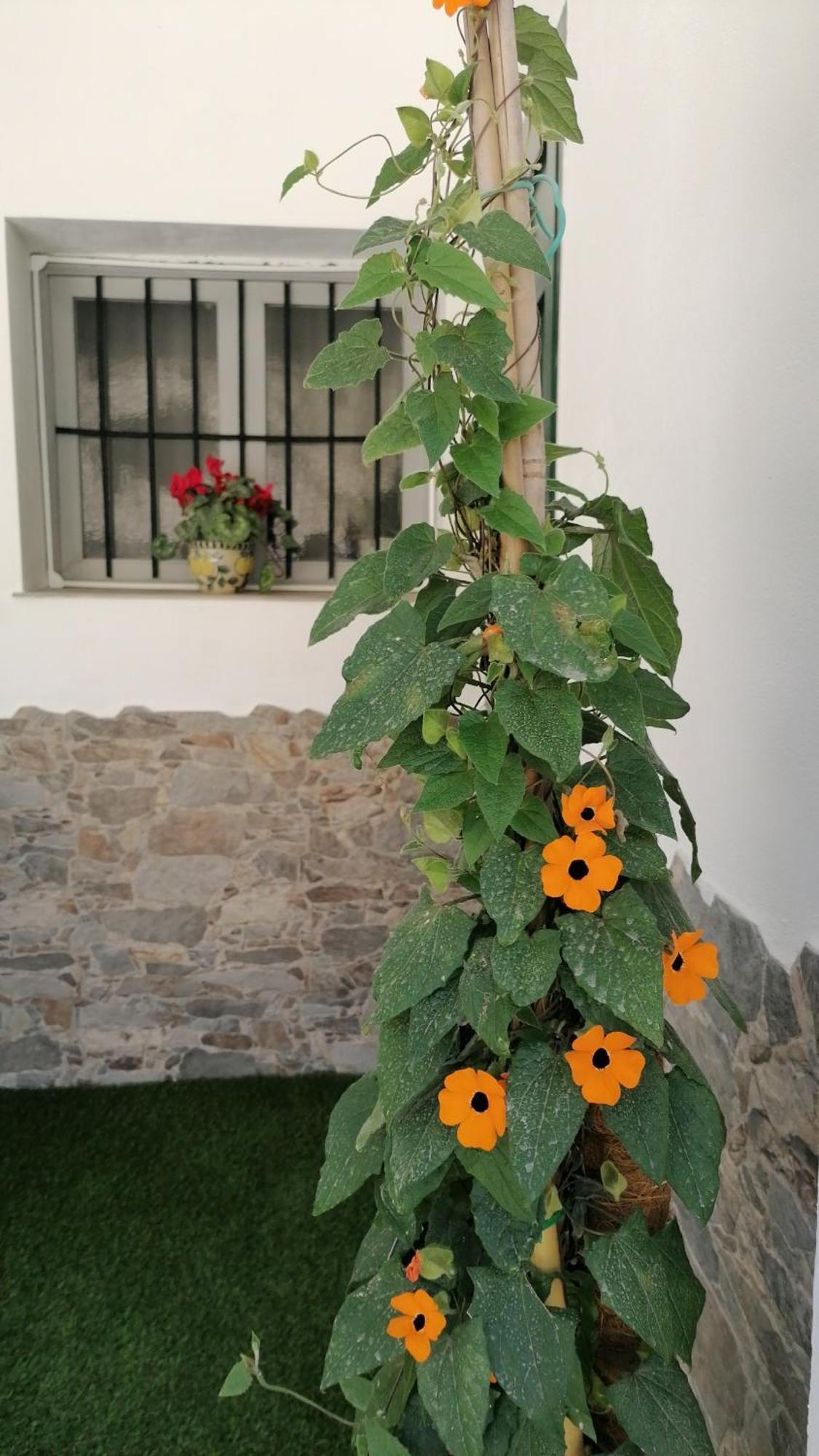 La Casa De La Abuela Apartment Pinos Genil Bagian luar foto