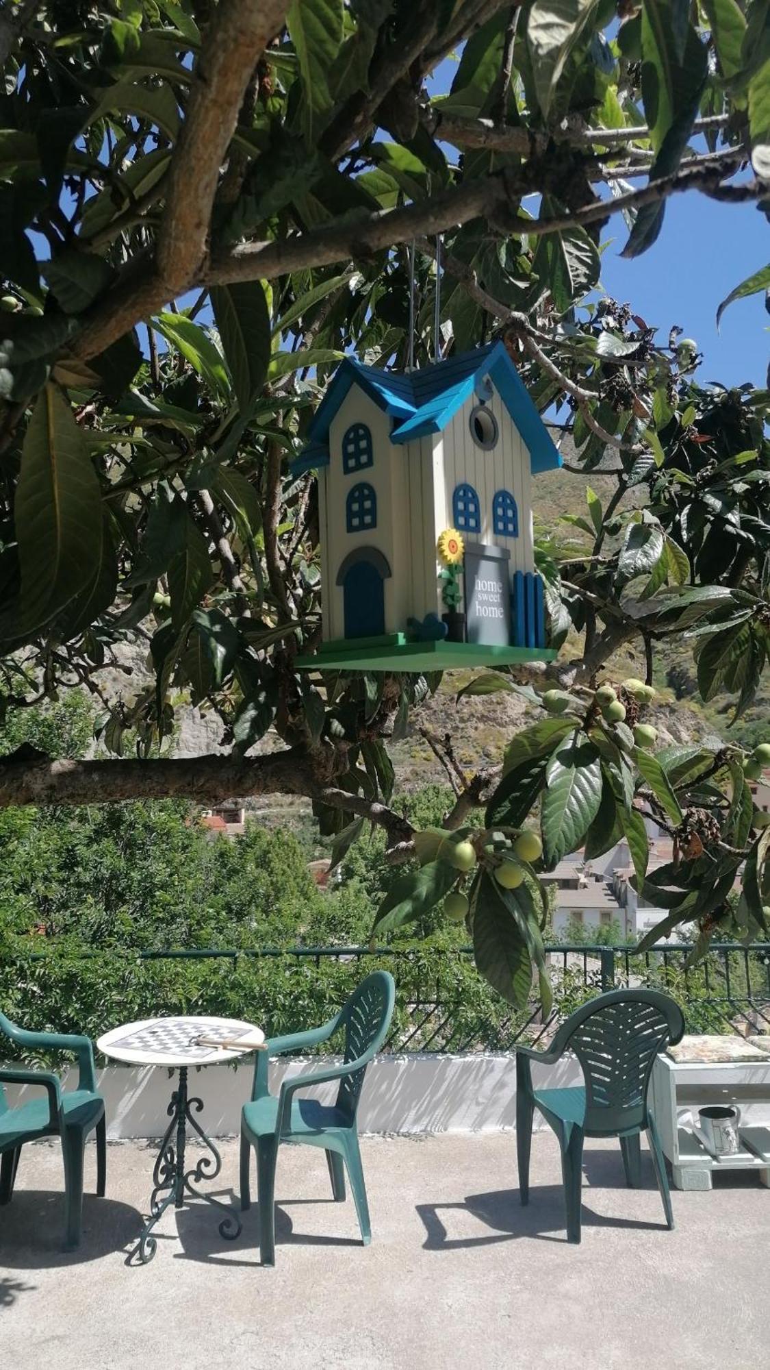 La Casa De La Abuela Apartment Pinos Genil Bagian luar foto