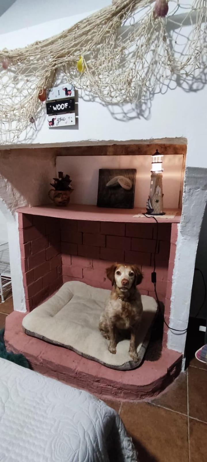 La Casa De La Abuela Apartment Pinos Genil Bagian luar foto